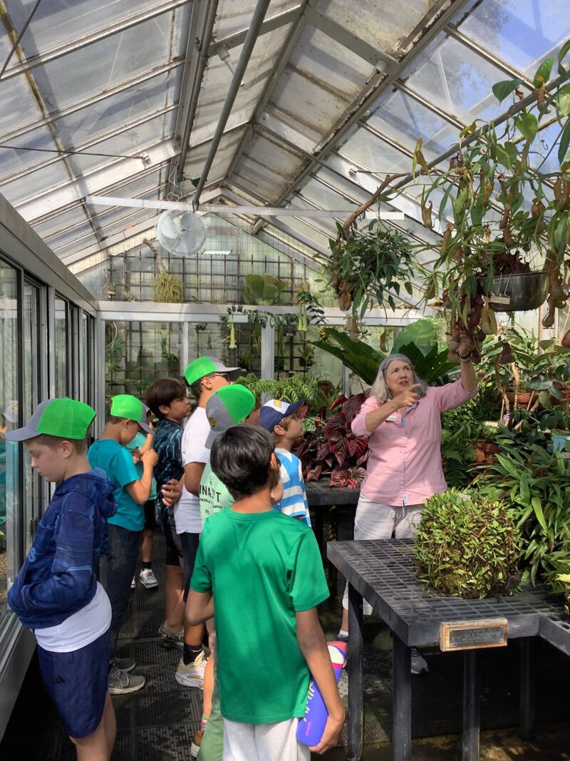 Image for the Tweet beginning: Fun at the botanical gardens