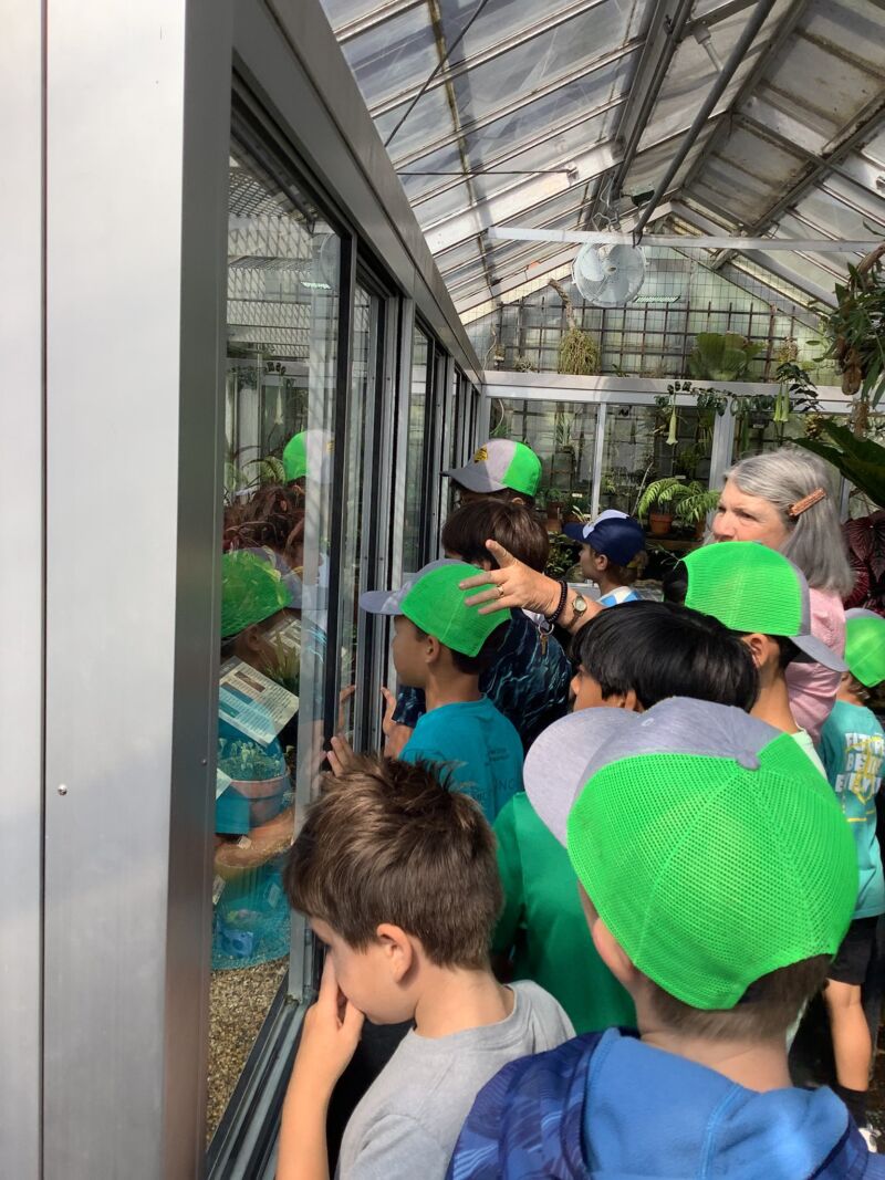 Image for the Tweet beginning: Fun at the botanical gardens